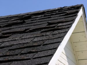 How to Tell if You Need Roof Repair Services